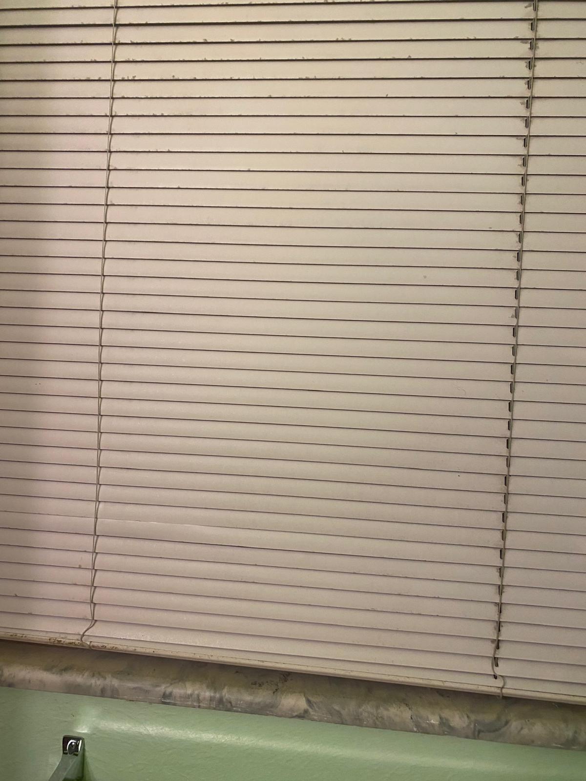 WhatsApp Image 2026-03-06 at 10.34